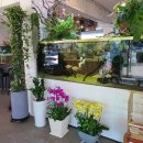 중국예한의원 이미지