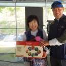 용원초교 이미지