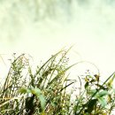 뱅크행정사사무소 이미지