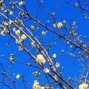 국악의 성지 이미지