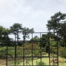 율커피
