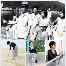 2019.10.16(수).11월26(화)당일 거제 저도(대통령별장 한시적 개방)-매미성-맹종죽테마공원 힐링트래킹 이미지