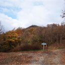 몽산커피