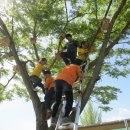 성수초등학교 이미지