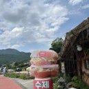 강화도 햄버거 맛집 &#39;초가삼간 보스턴수제버거&#39; 내돈내산 후기
