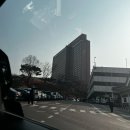 호3통 | 신라면세점 서울점 2025 3월 선불런 방문후기