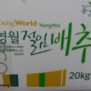 2013 강원도 고냉지 김장 절임배추 20kg 35,000원 예약판매 이미지