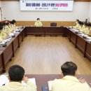 강진8호 이미지