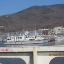 매화시장 이미지