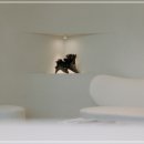 렛츠성형외과의원 이미지