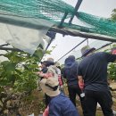 김제시 치매안심센터 이미지