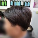 도봉로3길-7 이미지