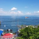 등나무민박 이미지