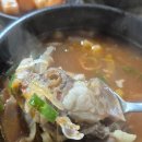 북평민속장주차장 | 주말에 다녀온 동해여행 북평5일장맛집 두꺼비국밥 주말방문기