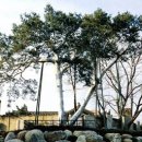 종로-종로-종로-종-127 이미지