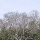 방산서원 이미지