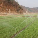 경상북도 농업기술원 이미지