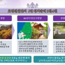 새정천 Daum카페