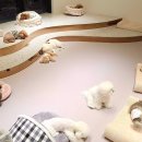 개린이 유치원 이미지