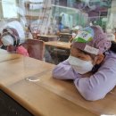 진안중앙초등학교 이미지