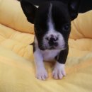 미스터멍 이미지