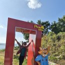 관망대 | 🏝️아쉬움 속에 발견한 낭도의 비경과 고흥 우주를 향한 꿈 여행기(25.11.02 일)