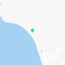 구항농장 | 공곶이 수선화 개화상태 체크를 위해 방문한 후기