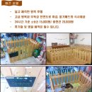 꼬마애견샵 이미지