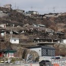 강구중고등학교 이미지