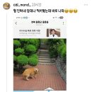 울릉도 죽도 카카오맵 로드뷰 업데이트가 멈춘 사연 이미지