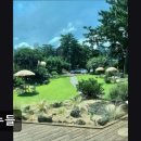 7172 | 제주시맛집 섬누들 제주시맛집 섬누들, 특별한 맛을 경험해보세요