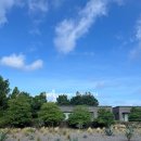 네이처트레일 | 제주 협재 숙소 네이처트레일