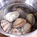 한뚝배기 이미지