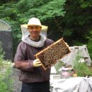 부산진구치매안심센터 | 부산 김해 행사떡 답례떡 단체간식 쌀디저트 (feat. 부산진구 치매안심센터)