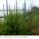 연기면_세종보 입구 이미지