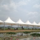 오이도 다녀왔습니다. 이미지