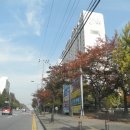 미라2길 이미지