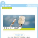 치아정밀치과기공소 이미지