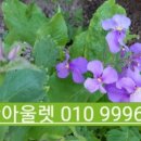 부동산아울렛공인중개사사무소 이미지