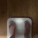 지정15 | 셀레브 드레스 이미지투어 후기, 지정혜택 &amp; 가격 대만족!