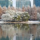 일산호수공원 이미지