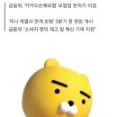 "또 최초 기록 썼다"…카카오 손해보험업 진출 확정 [종합] 이미지