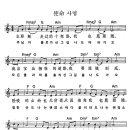 사명 使命 (한중악보) 이미지