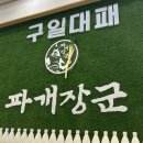 파개장군
