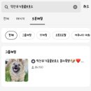 링크정보시스템(주) | 유기묘 입양 봉사활동 후기 | 입양방법 보호센터 익산...핸드 국가동물정보보호시스템 익산시보 해외...