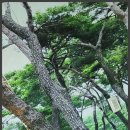 노을담은펜션 이미지