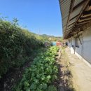 머드공인중개사사무소 이미지