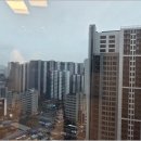 안성맞춤부동산중개 | 이문동부동산, 대단지 속에서 만난 라이프스타일 거점 탐방기 🏢✨