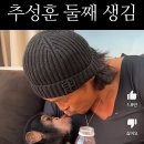 추성훈 키키 kiss 이미지