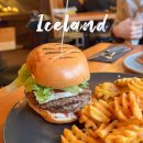 퍼핀 | 아이슬란드 맛집 순록 버거 고래 퍼핀 고기 Islenski Barinn 후기!